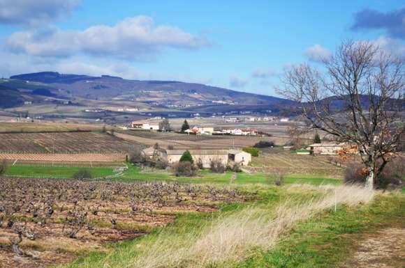 Étude préalable à la requalification du domaine de la Grange-Charton (Rhône)