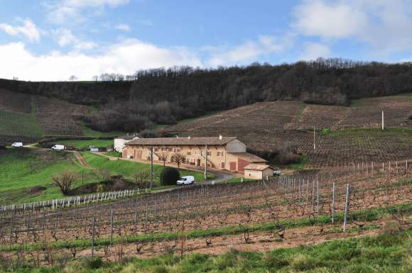 Domaine de la Presle à Fleurie (Rhône)